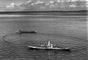 Pesca “No interior da Bahia numerosos pescadores utilizavam canoas, trabalhando com um material mais leve que lhes permitia perseguir facilmente os bancos de peixe”. (Retratos da Bahia. Pierre Verger)
