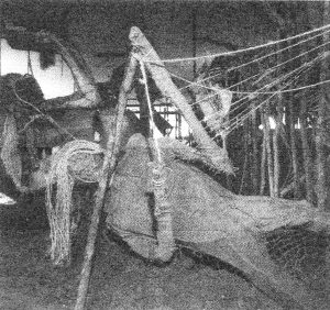 Instalação do Grupo Etsedron na Bienal de São Paulo